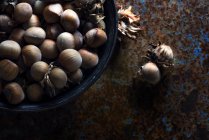Підвищений вид на чашу з лісовими горіхами в мушлі — стокове фото