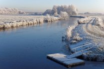 Vue panoramique sur le paysage hivernal, Tergast, Basse-Saxe, Allemagne — Photo de stock