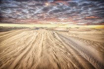 Vista panorámica de las dunas de arena, Lancelin, Australia Occidental, Australia - foto de stock