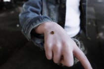 Marienkäfer kriecht auf Mädchenhand, Nahaufnahme — Stockfoto