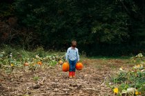 Boy carrying two pumpkins in field — Stock Photo