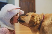 Golden Retriever Hund leckt das Gesicht eines Mädchens im Hasenkostüm — Stockfoto