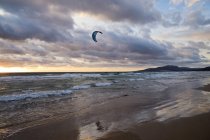 Silhouette of man kitesurfing in ocean — Stock Photo