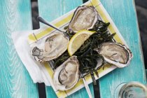 Top view of fresh tasty oysters with lemon — Stock Photo