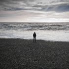 Uomo in piedi sulla spiaggia nera guardando verso il mare, djupalonssandur, lumache, ghianda — Foto stock