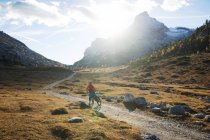 Vista trasera de la mujer ciclismo de montaña, Dolomitas, Tirol del Sur, Italia - foto de stock