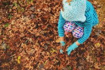 Обрезанный снимок девочки, играющей с осенними листьями — стоковое фото