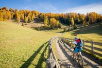 Donna mountain bike nelle Dolomiti, Alto Adige, Italia — Foto stock