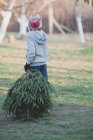 Vista trasera del niño pequeño llevando un árbol de navidad - foto de stock