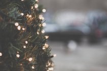 Close-up of fairy lights on a christmas tree — Stock Photo