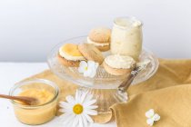 Pote de coalhada de limão caseira com biscoitos de momento de fusão e creme de manteiga de limão — Fotografia de Stock
