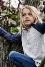 Adorable rubia chico trepando árbol - foto de stock