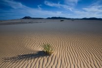 Живописный вид на песчаные дюны, Национальный парк Corralejo Dunes, Фуэртевентура, Испания — стоковое фото