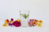 Bicchiere di acqua di menta con fiori commestibili — Foto stock