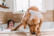 Chica en baño con perro golden retriever - foto de stock