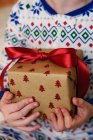 Крупним планом дівчина тримає різдвяний подарунок — стокове фото