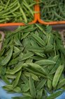 Closeup view of Green beans in market, Dubai, UAE — Stock Photo