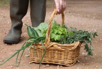 Donna raccogliendo un cesto con verdure fresche — Foto stock