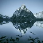 Vista panorámica de las reflexiones de montaña en fiordo, Lofoten, Noruega - foto de stock