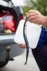 Homem segurando peixe contra carro — Fotografia de Stock