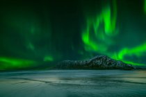 Vue panoramique sur les majestueuses aurores boréales, Lofoten, Nordland, Norvège — Photo de stock