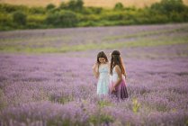 Zwei Mädchen stehen in einem Lavendelfeld, Stara Sagora, Bulgarien — Stockfoto