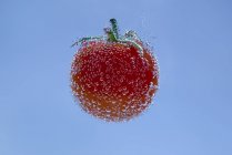 Concept de tomate dans l'eau minérale sur fond bleu — Photo de stock