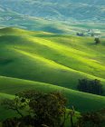 Мальовничий вид на зелений краєвид пагорбів Лівермор, Каліфорнія, Америка, США — стокове фото