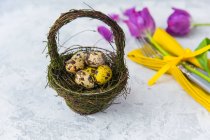 Корзина с пасхальными яйцами и место установки с цветами — стоковое фото