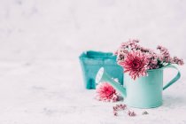 Primo piano vista di annaffiatoio con fiori — Foto stock