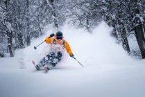 Male Skier skiing in deep powder snow, Gosau, Gmunden, Austria — Stock Photo
