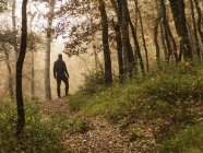 Чоловік стоїть у лісі (Іспанія). — стокове фото