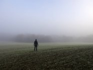 Homme debout dans un champ de brouillard, Espagne — Stock Photo