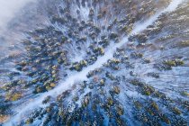 Luftaufnahme einer Straße, die sich durch eine Winterlandschaft schlängelt, salzburg, Österreich — Stockfoto
