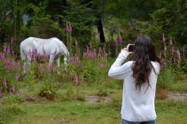 Girl photographing a horse at wild life — Stock Photo