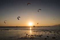 Silueta de kitesurfistas al atardecer, Playa de Los Lances, España - foto de stock