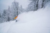 Männerskifahren im Tiefschnee, gosau, gmunden, Österreich — Stockfoto
