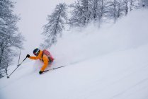 Homem esquiando em neve profunda em pó, Gosau, Gmunden, Áustria — Fotografia de Stock