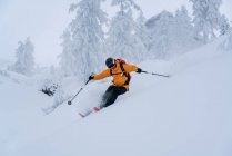 Людина, катання на лижах в порошок глибокий сніг, Krippenstein, Гмунден, Австрія — стокове фото