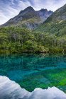 Scenic view of Blue Lake and Franklin Range, Nelson Lakes National Park, New Zealand — Stock Photo