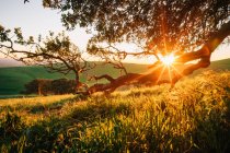 Мальовничим видом сільської місцевості на захід сонця, Каліфорнія, Америка, США — стокове фото