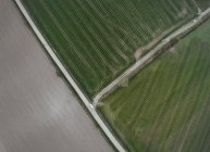 Вид с воздуха на движение автомобиля по дороге в сельской местности, Ирландия — стоковое фото