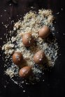 Яйця на дерев'яному столі, покритому тирсою — стокове фото