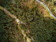 Aerial view of Gougane Barra National Forest Park, County Cork, Ireland — Stock Photo