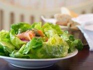 Vista close-up de salada verde com salmão defumado — Fotografia de Stock