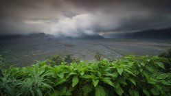 Vista panorámica del Monte Bromo al atardecer, Java Oriental, Indonesia - foto de stock