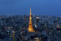 Vista panorâmica da cidade skyline e Torre de Tóquio, Tóquio, Japão — Fotografia de Stock