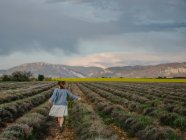 Frau läuft durch Lavendelfeld, Valensole, Provence, Frankreich — Stockfoto