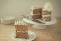 Fatia de bolo de cenoura em uma chapa na cozinha — Fotografia de Stock