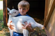 Boy carrying adorable goat on homestead — Stock Photo